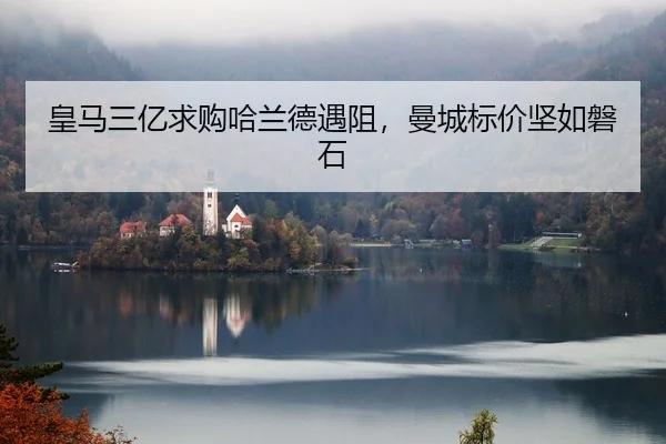 huang-ma-san-yi-qiu-gou-ha-lan-de-yu-zu-man-cheng-biao-jia-jian-ru-pan-shi-2-762.jpg