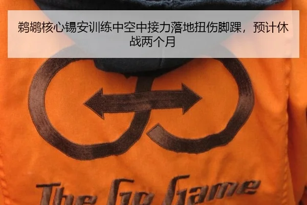 鹈鹕核心锡安训练中空中接力落地扭伤脚踝，预计休战两个月